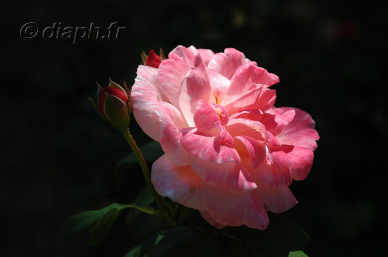 fonds_ecran_0009