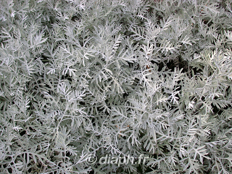 fonds_ecran_0112