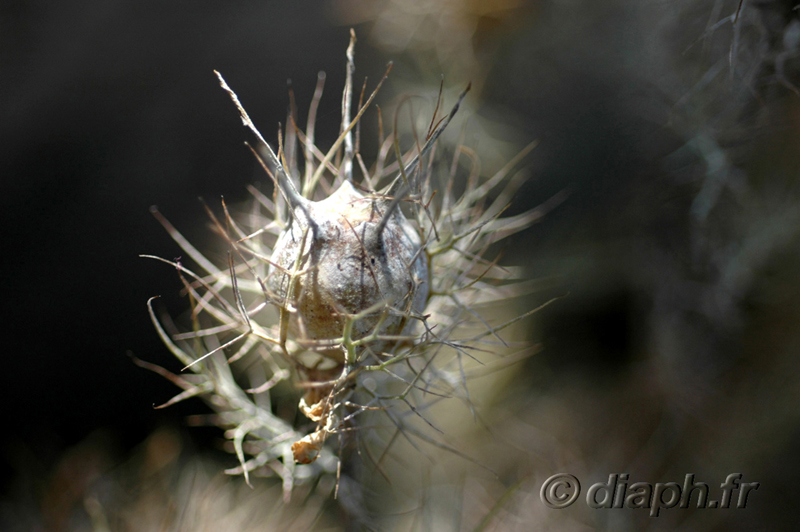 fonds_ecran_0506