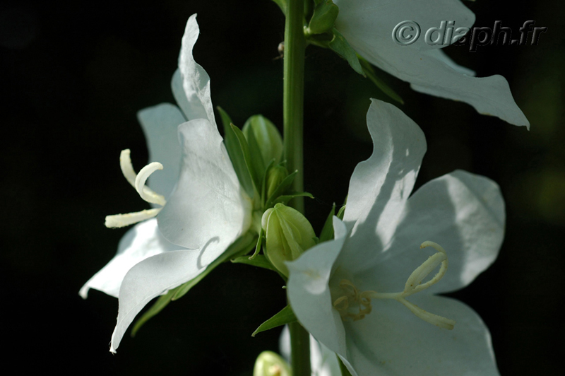 fonds_ecran_0507