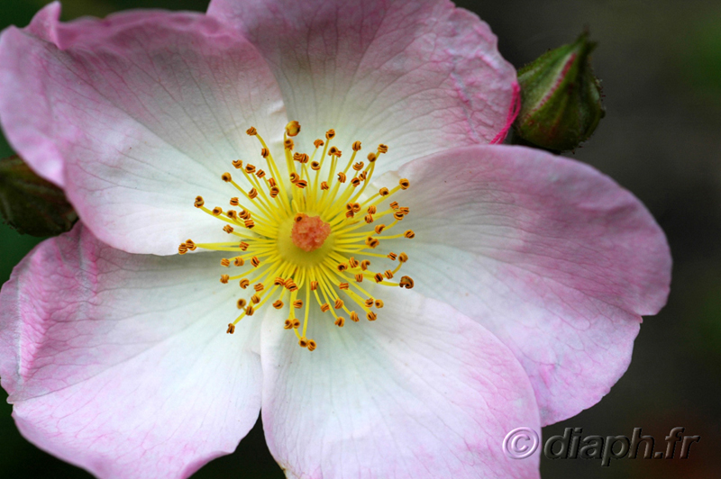 fonds_ecran_0508