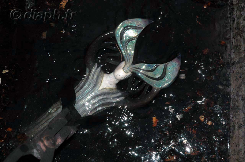 fonds_ecran_06_06