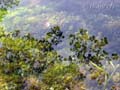 fonds_ecran0206
