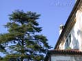 fonds_ecran0212