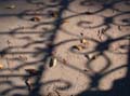 fonds_ecran0213