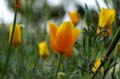 fonds_ecran_0014
