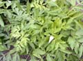 fonds_ecran_0102