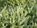 fonds_ecran_0103