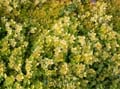 fonds_ecran_0111