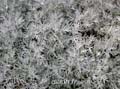 fonds_ecran_0112