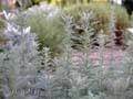fonds_ecran_0113