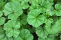 fonds_ecran_0114