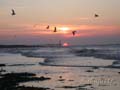 fonds_ecran_0308