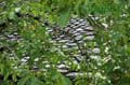 fonds_ecran_0309