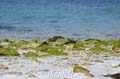 fonds_ecran_0312