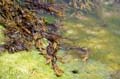 fonds_ecran_0313