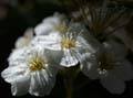 fonds_ecran_0503