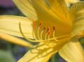 fonds_ecran_0504