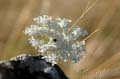 fonds_ecran_0510
