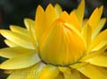fonds_ecran_0512