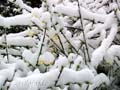 fonds_ecran_0516