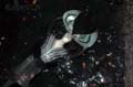 fonds_ecran_06_06