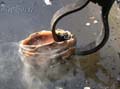 fonds_ecran_06_12