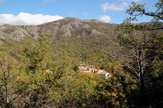 corse_15