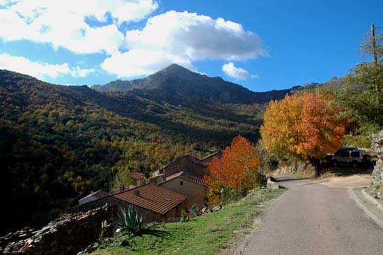 corse_17
