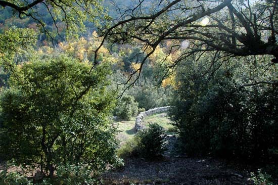 corse_19