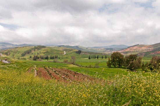 liban_067_le_sud_liban