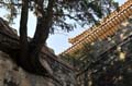 tombeaux-ming_04