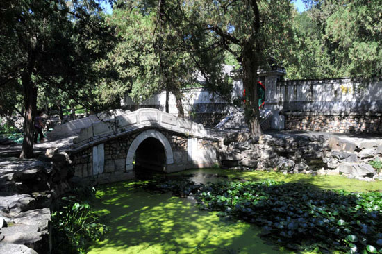le_palais_d_ete_14