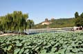 le_palais_d_ete_06
