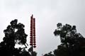 parc_beihai_06