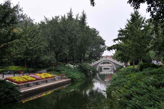 pekin_011