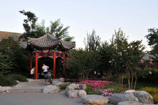 pekin_100