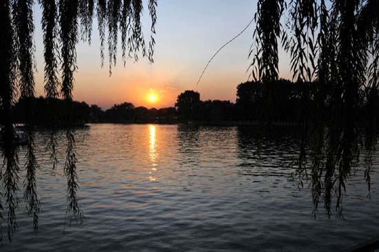 pekin_106