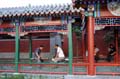 pekin_102
