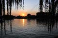 pekin_106