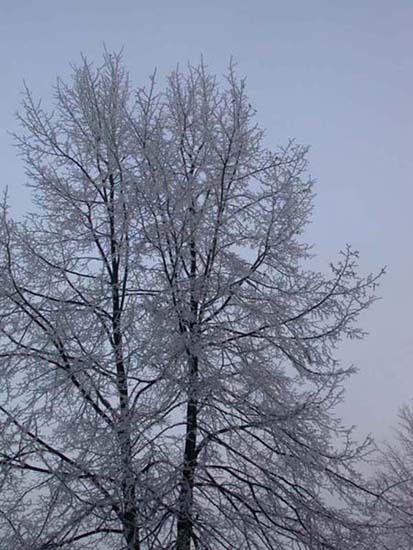2003_pologne_12