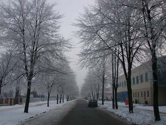 2003_pologne_13