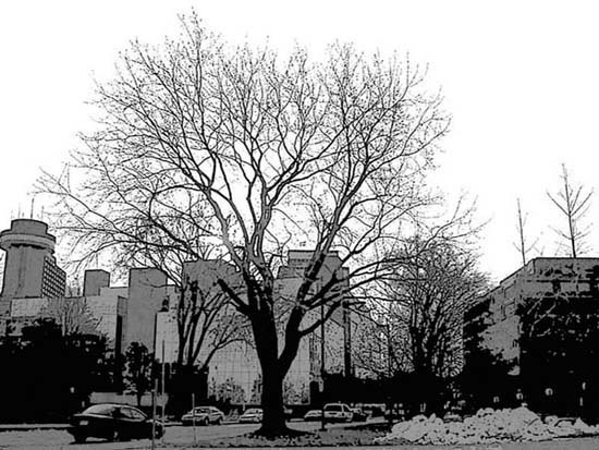 2004_quebec_18