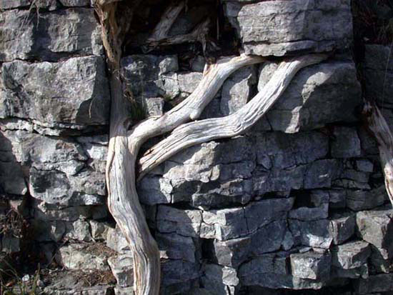 2004_quebec_32