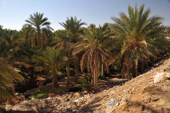 tunisie_nefta_11