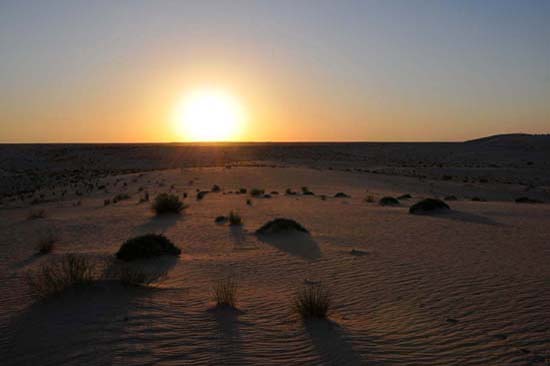 tunisie_nefta_31