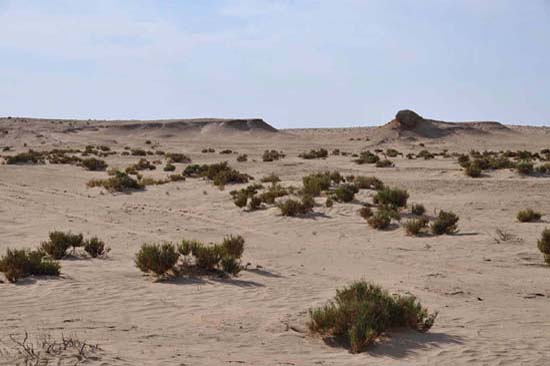 tunisie_nefta_35