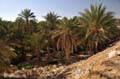 tunisie_nefta_11