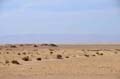 tunisie_nefta_34
