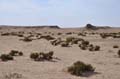 tunisie_nefta_35